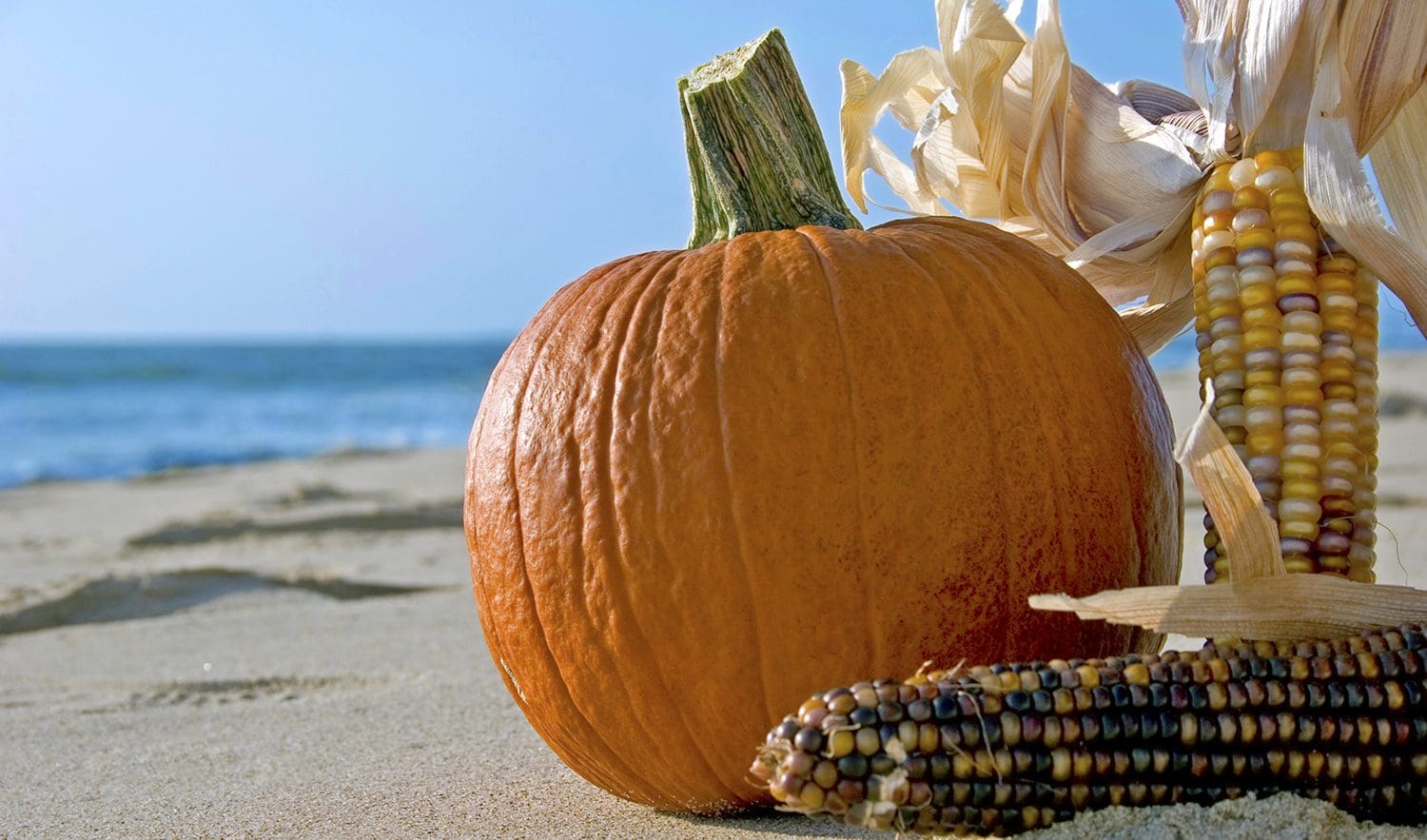 A Taste Of Fall Oahu Style Five Fall Inspired Recipes With An Island 
