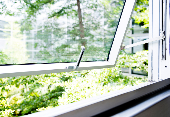 Modern office windows with garden view.