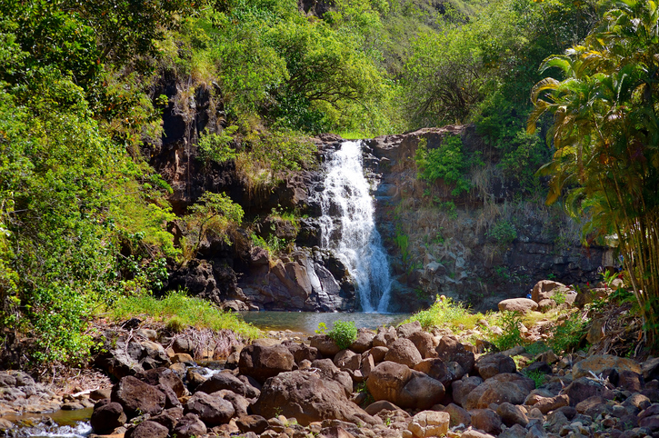 Beautiful tropical waterfall in Waimea Valley park on Oahu island