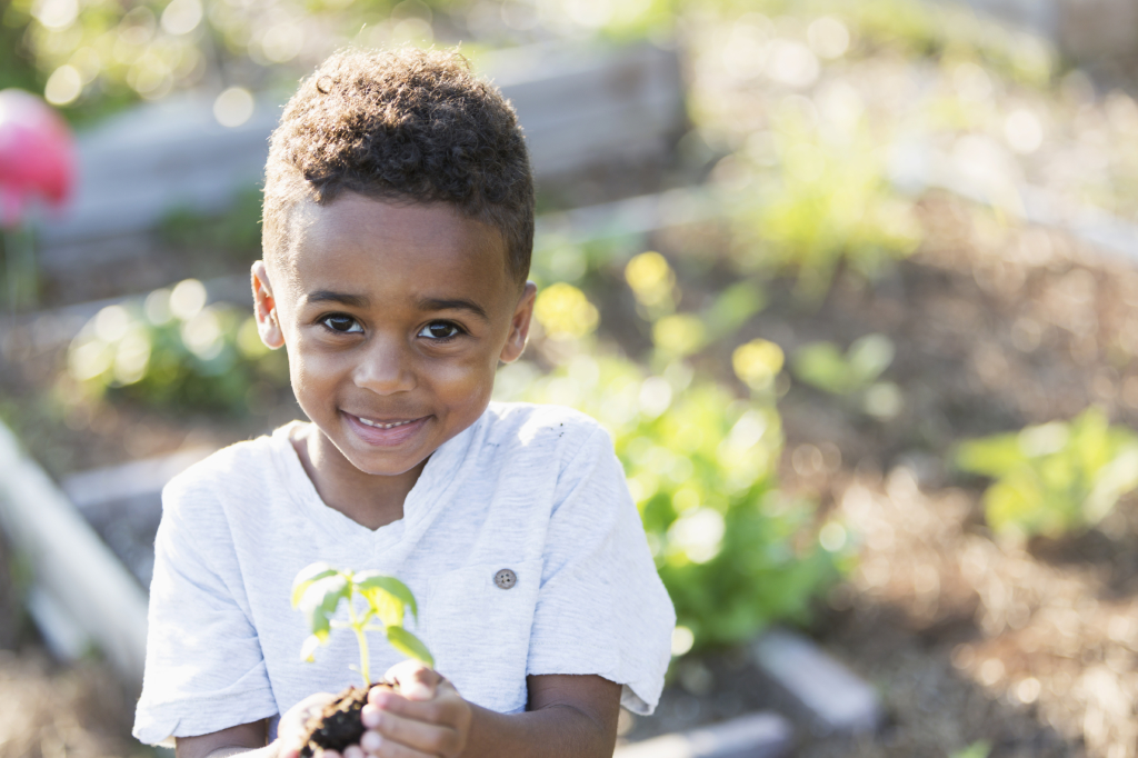 Sweet little boy (5 years) in community garden, holding a seedling in his hands.